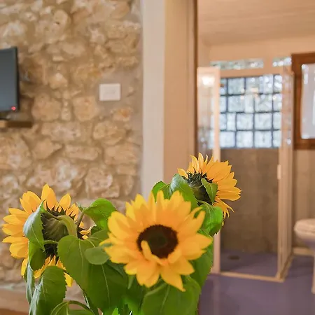 Podere Campriano Winery Adult Only Alojamento de Turismo Rural *