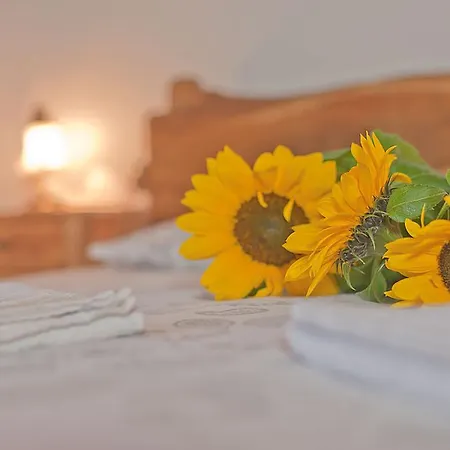 Farm stay Podere Campriano Winery Adult Only *