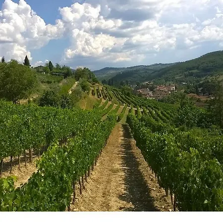Podere Campriano Winery Adult Only Farm stay *